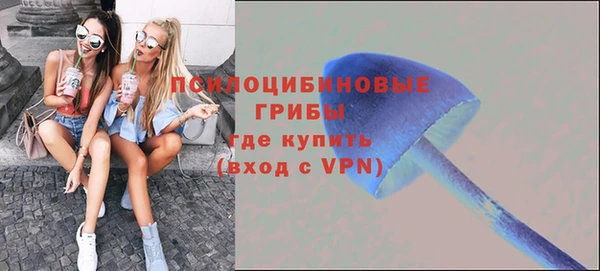 стаф Куйбышев