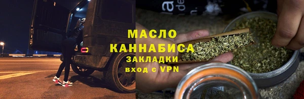 индика Кулебаки