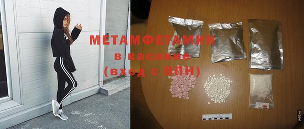 индика Кулебаки