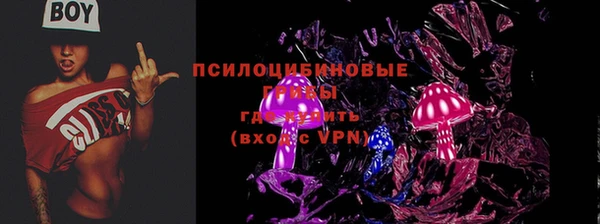 первитин Кукмор
