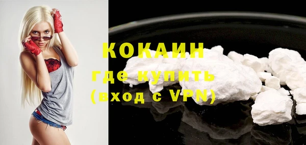 индика Кулебаки