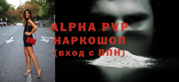 индика Кулебаки