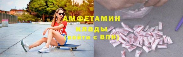 индика Кулебаки