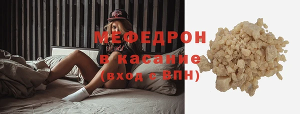 индика Кулебаки