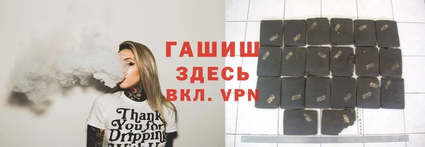 индика Кулебаки