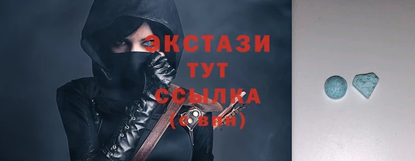 индика Кулебаки