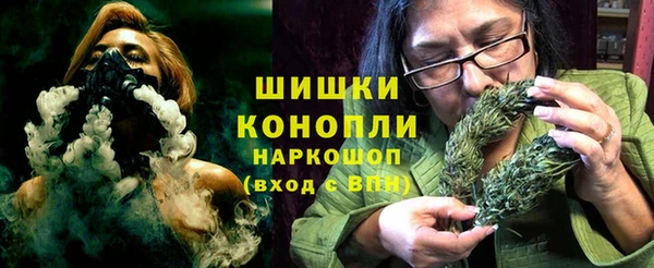 индика Кулебаки