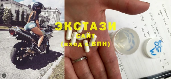 индика Кулебаки