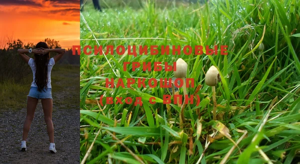 первитин Кукмор