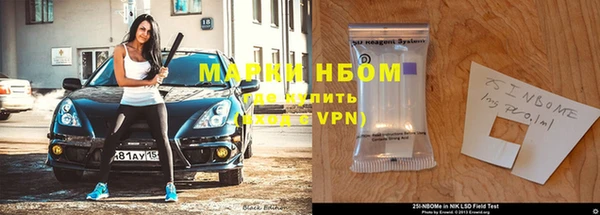 индика Кулебаки