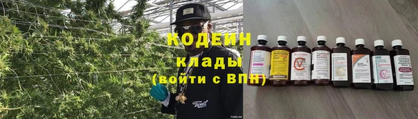 индика Кулебаки