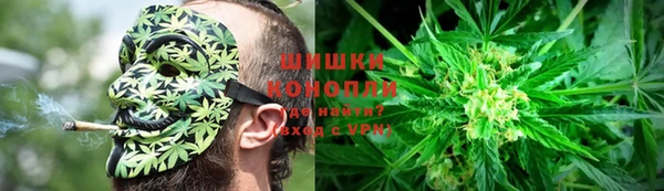 индика Кулебаки