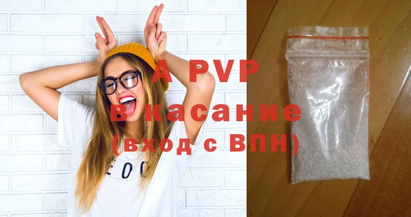 индика Кулебаки