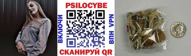 Псилоцибиновые грибы Psilocybe  Купить где  Нестеровская 